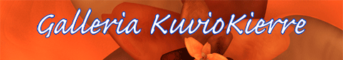 Galleria KuvioKierre